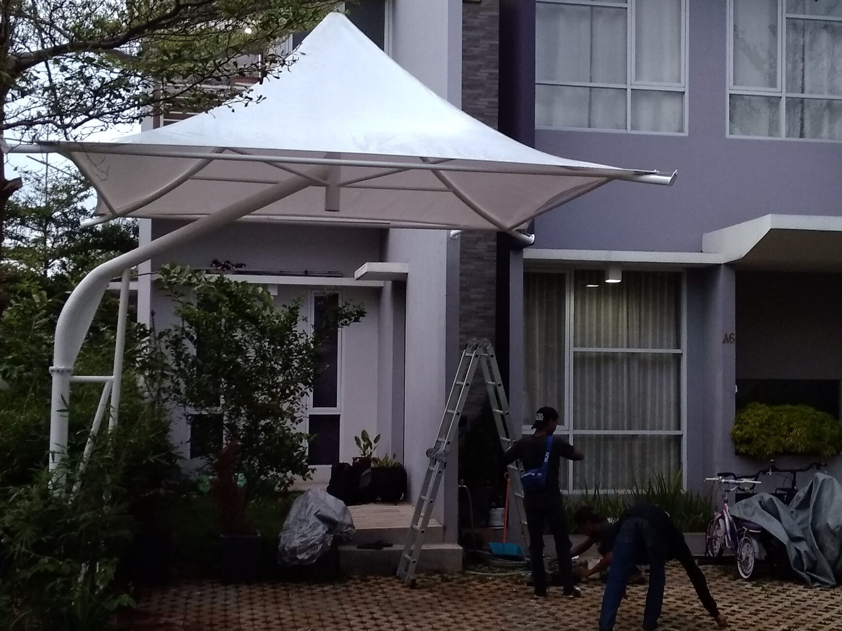 Canopy Membrane